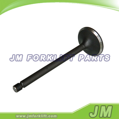 Intake Valve 1003011BB