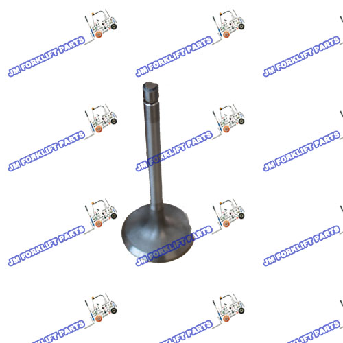 Intake valve  1007011-X2