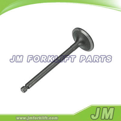 Intake Valve 129907-11100