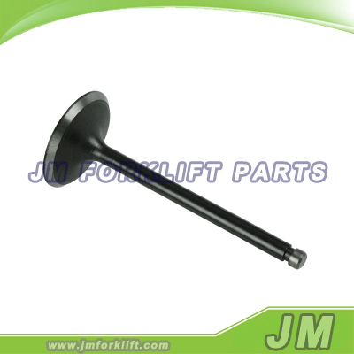 Intake Valve 13201-03T10