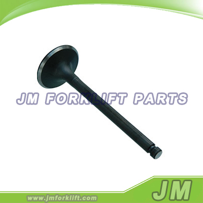Intake Valve 4102.01.24