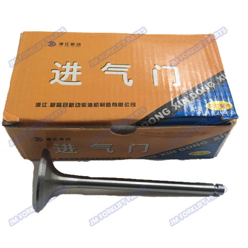 Intake valve  490B-03014