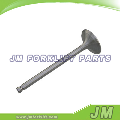 Intake Valve 490B-03014