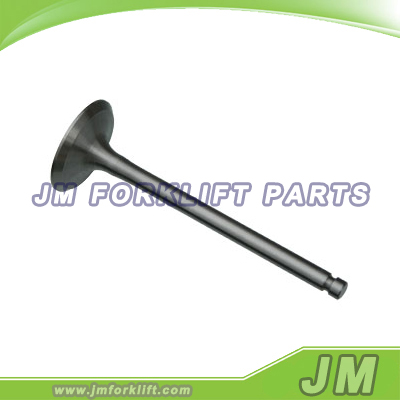 Intake Valve 495B-03014