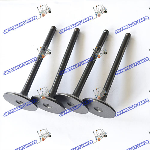 INTAKE VALVE  A-13201-43G01