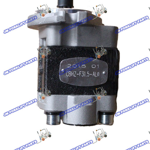 Hydraulic Pump  H24C7-10011