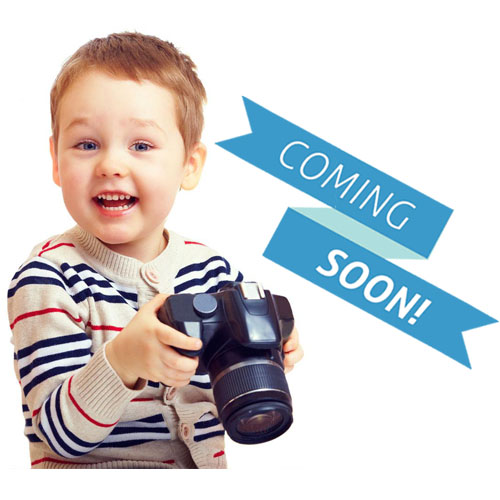 SEPALATOR PLATE    77898